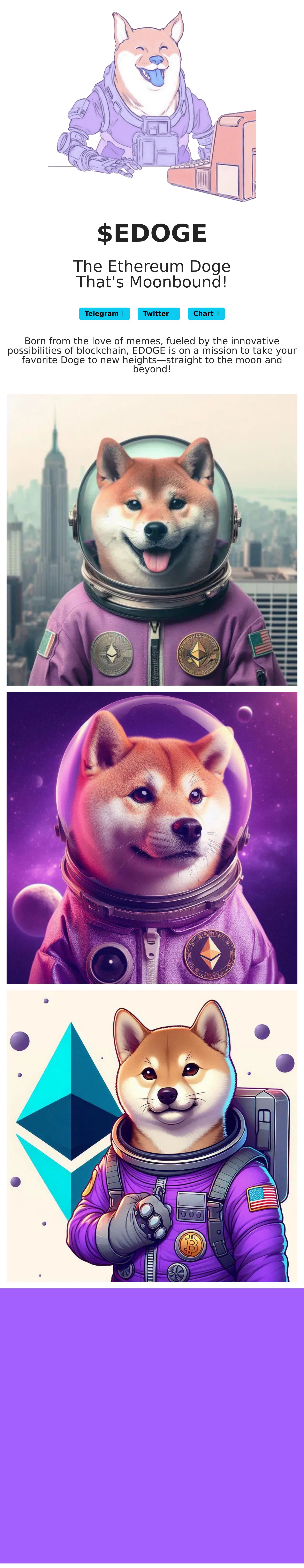 edoge-cto.vip.jpg Image